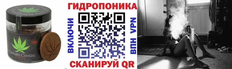 ОМГ ОМГ как войти  Чухлома  Печенье с ТГК марихуана  наркошоп 