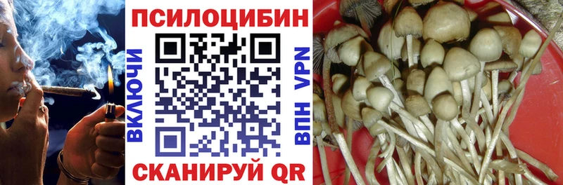 Галлюциногенные грибы Cubensis  Чухлома 