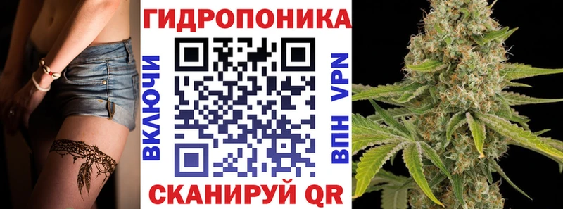 OMG зеркало  Чухлома  Шишки марихуана планчик 